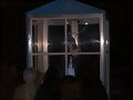 La paloma del Esp&iacute;ritu est&aacute; en otro sentido