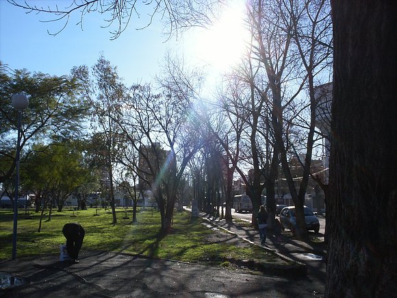 7 de julio 2010