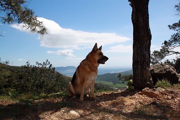 Apolo en el bujeo