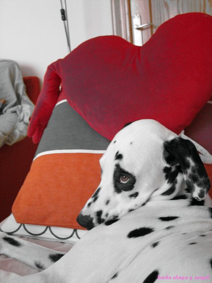 a alguien se le rompio el corazon....