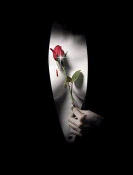 una rosa para  dulce-magia