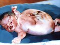monster baby