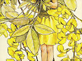 Cicely Mary Barker