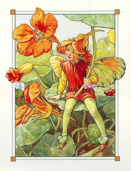 Cicely Mary Barker
