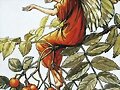 Cicely Mary Barker