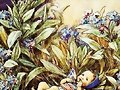 Cicely Mary Barker