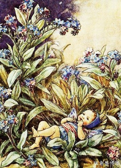 Cicely Mary Barker