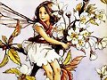 Cicely Mary Barker