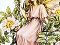 Cicely Mary Barker