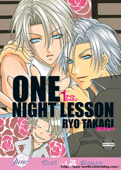 One Night Lesson