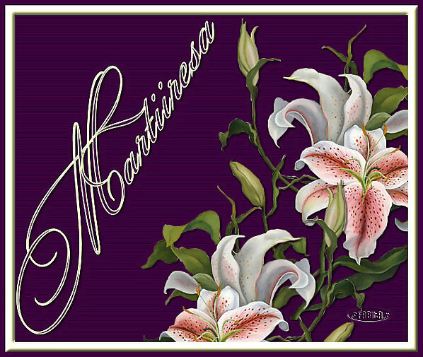 martiiresa