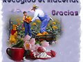 recogido