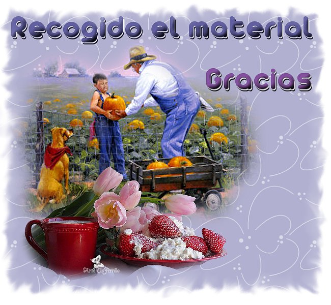 recogido