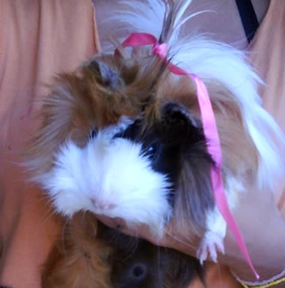 La Gorda de la Chispii! =)