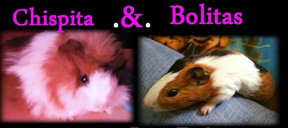 Mis Cobiis =)