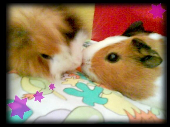 Oooo! quee bezitooo =$