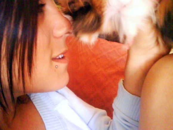 Bezito =$