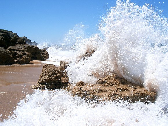 Marejada