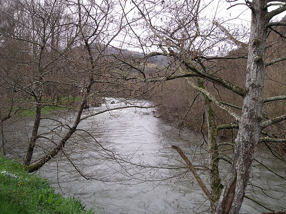 Rio Pas (Puente Viesgo )