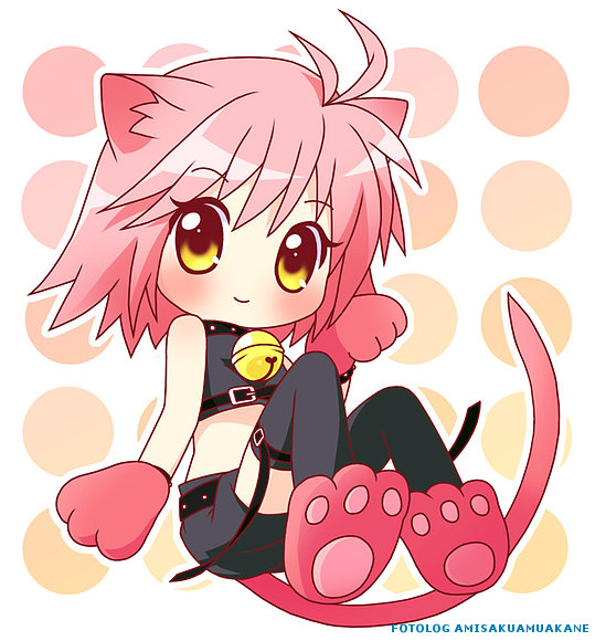 GATITA