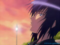 Ikuto recuerda a amu