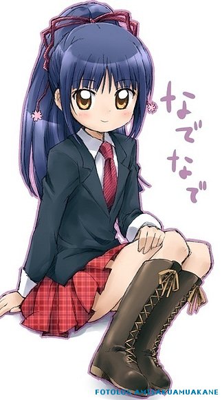 Nadeshiko Fujisaki