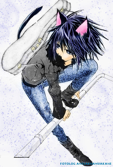 neko callejero