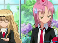 RIMA Y AMU