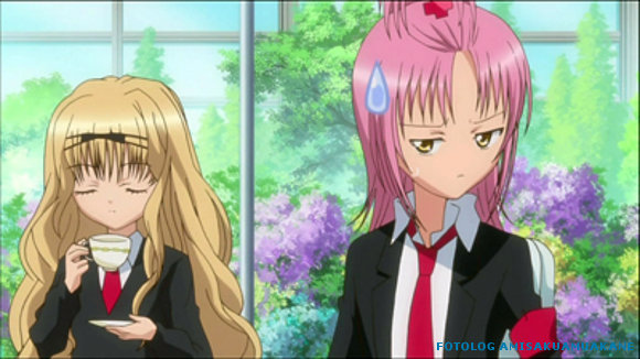 RIMA Y AMU