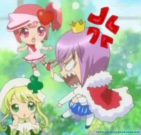 kiseki suu y ran