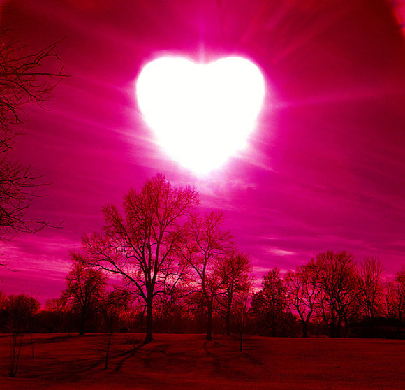 BUSCO UN CORAZÓN..