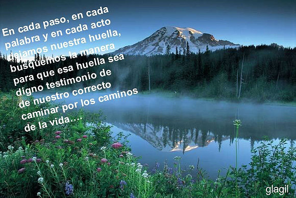 MIS HUELLAS..