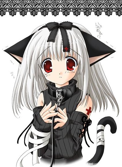 neko!!!!!!!!!!!!!!!!!!!!!