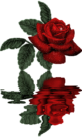 una rosa para todas mi amigos