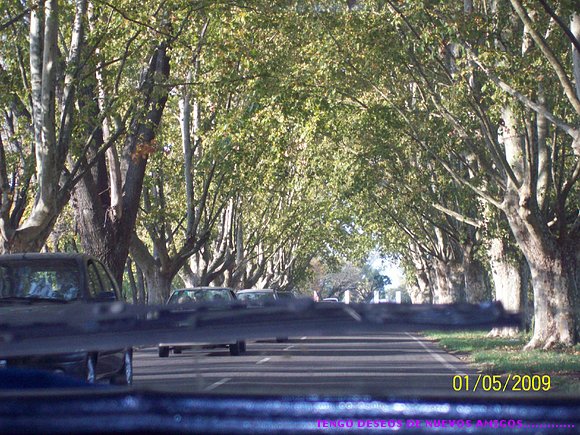 JUNIN..... EL MEJOR FINDE