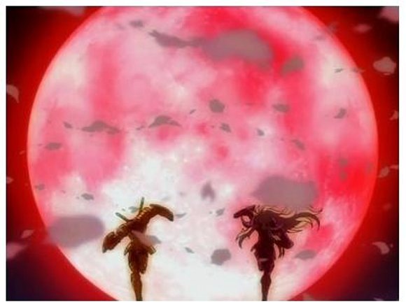 dhoko y shion