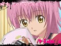 Http://shugo-chara-doki.blogfree.net   pasaros!!