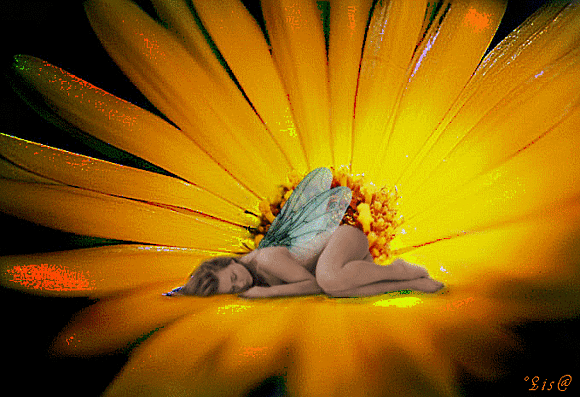 PUÑAL DE AMOR: