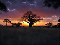hermoso atardecer en africa