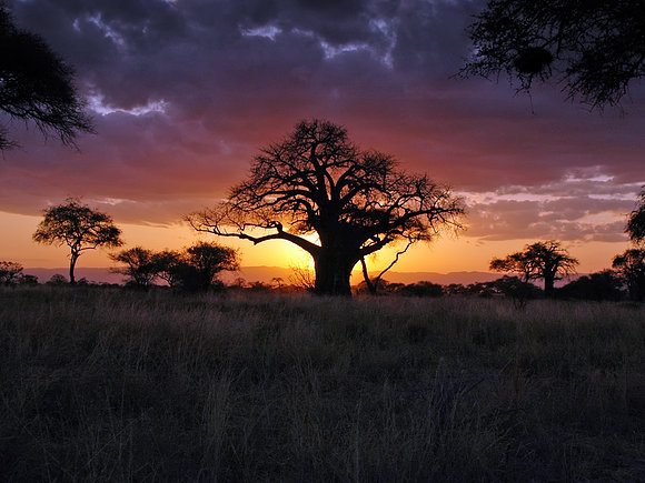 hermoso atardecer en africa