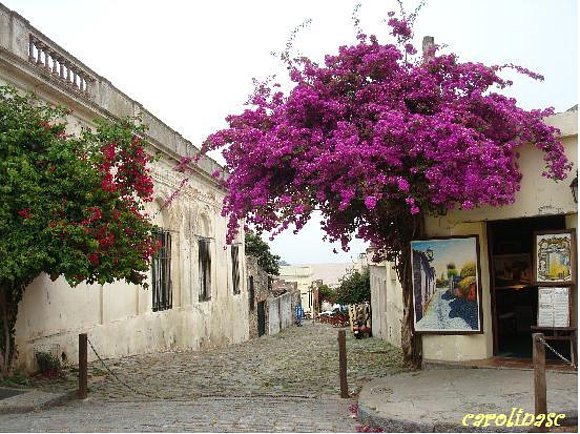 colonia del sacramento
