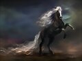caballo salvaje como la tormenta