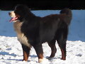 Akimo posando