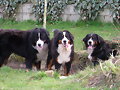 NUESTROS 3 NI&Ntilde;OS