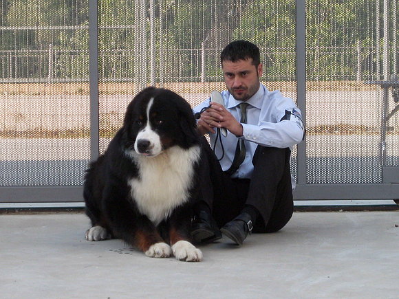 TALAVERA 2010