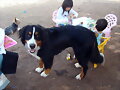 mami ..... no me dejan jugarrrrrrrrrrrrrrrrrrrr