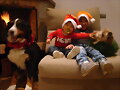 NAVIDAD NAVIDAD 1