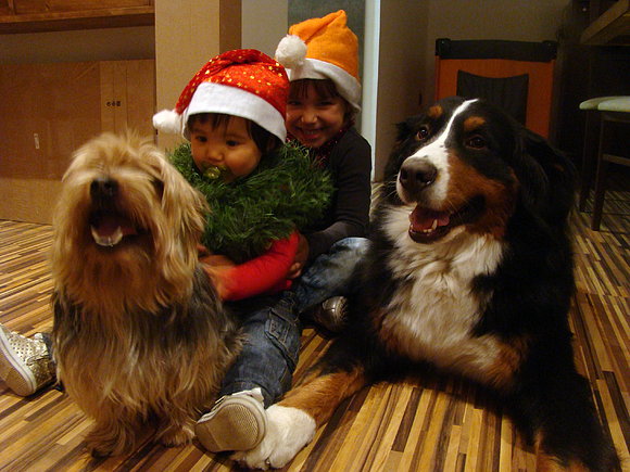 NAVIDAD NAVIDAD 2
