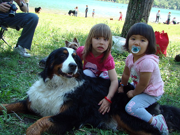 mis niñas con troya