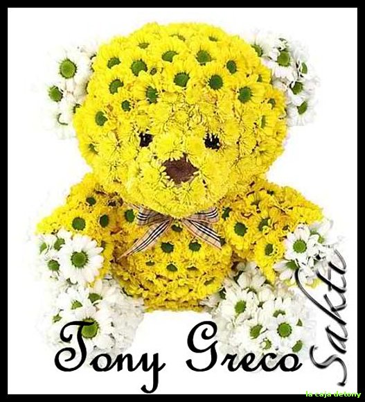 http://www.facebook.com/?ref=home#!/tonygreco8